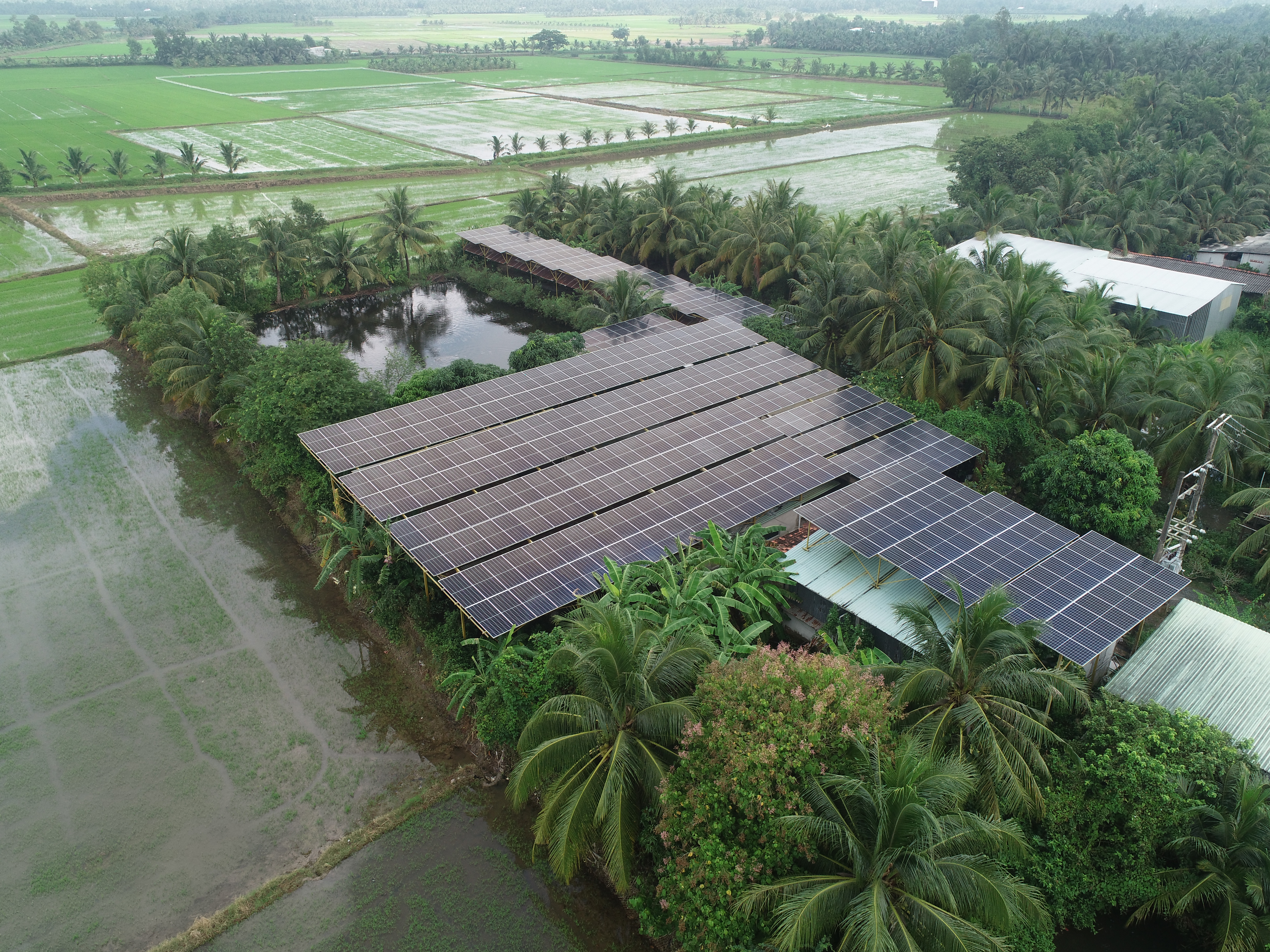 Nhà máy nước Đá Sao Mai 192kw